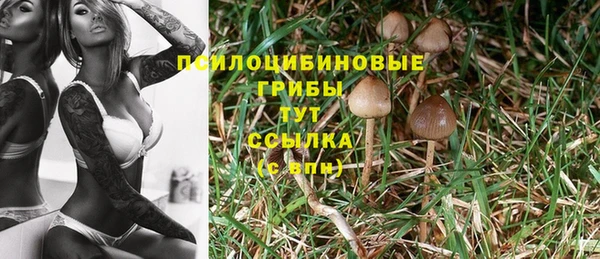 круглые Белокуриха