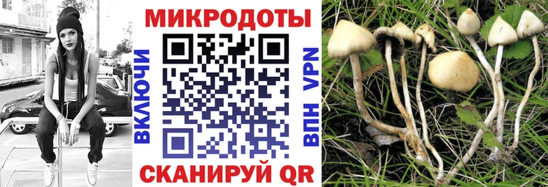 купить наркотики сайты  мориарти Telegram  Псилоцибиновые грибы ЛСД  Исилькуль 